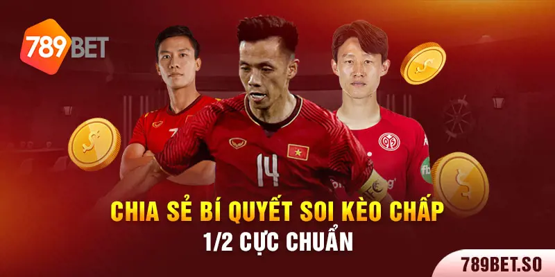 Chia sẻ bí quyết soi kèo chấp ½ cực chuẩn