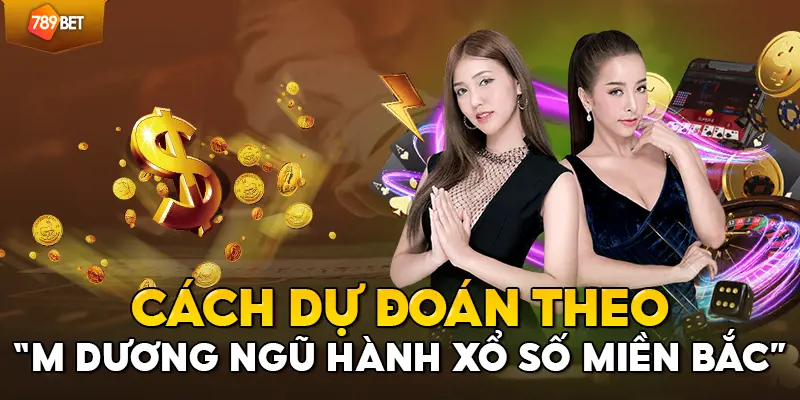 Cách dự đoán theo “am duong ngu hanh xo so mien bac” 