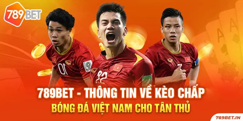 Thông tin cơ bản trong một trận bóng cần biết