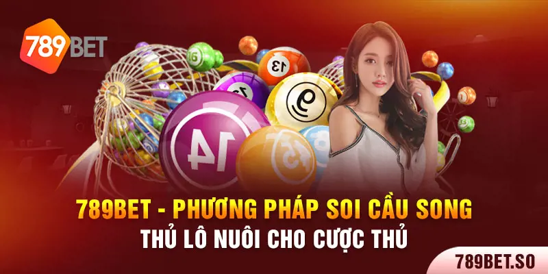 Tổng quan về soi cầu song thủ lô nuôi 